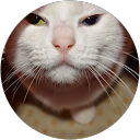 m m profile picture
