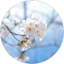 はる profile picture